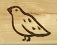 index.html